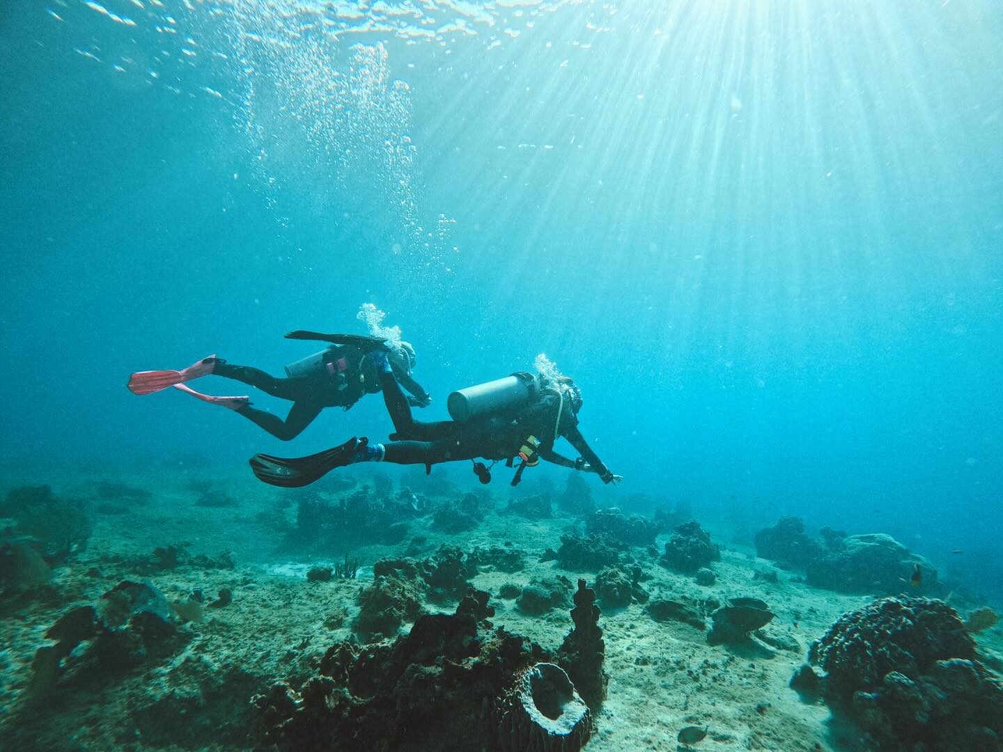 Scuba diving coaching with Nicole Harrison