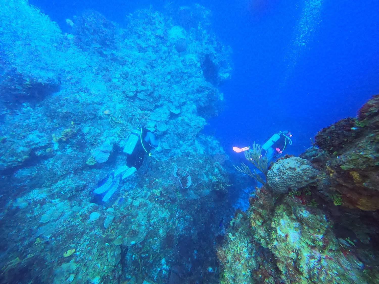 Two scuba divers exploring a coral reef underwater