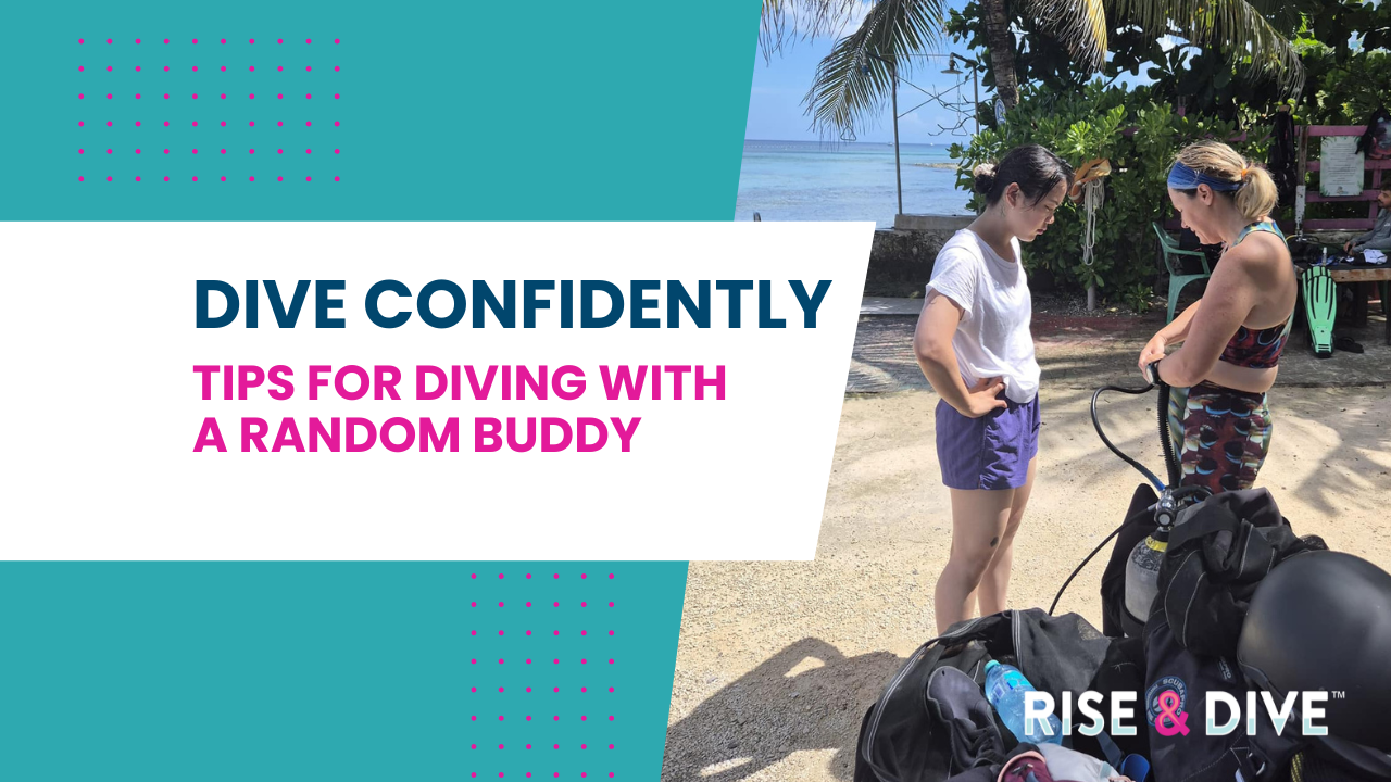 scuba divers preparing for dive using scuba diving buddy tips