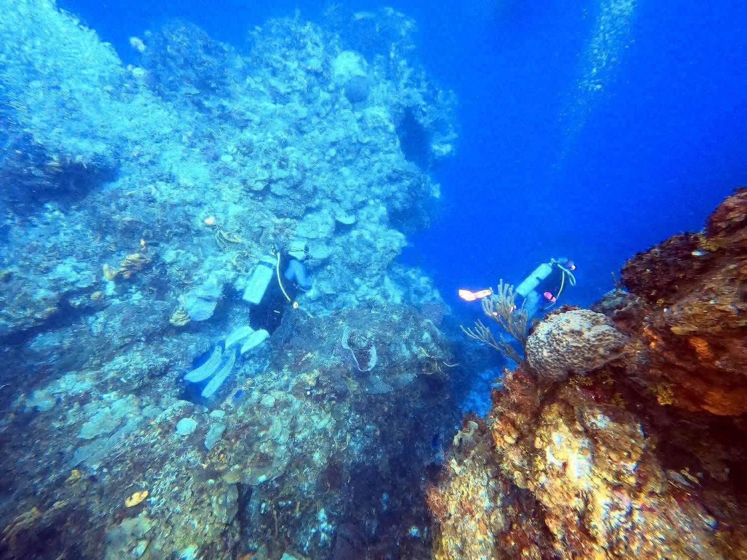 cozumel scuba diving trips large reef and 2 divers in Cozumel