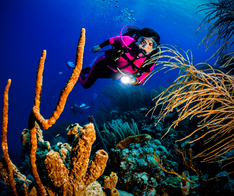 Scuba diver exploring a coral reef in Bonaire