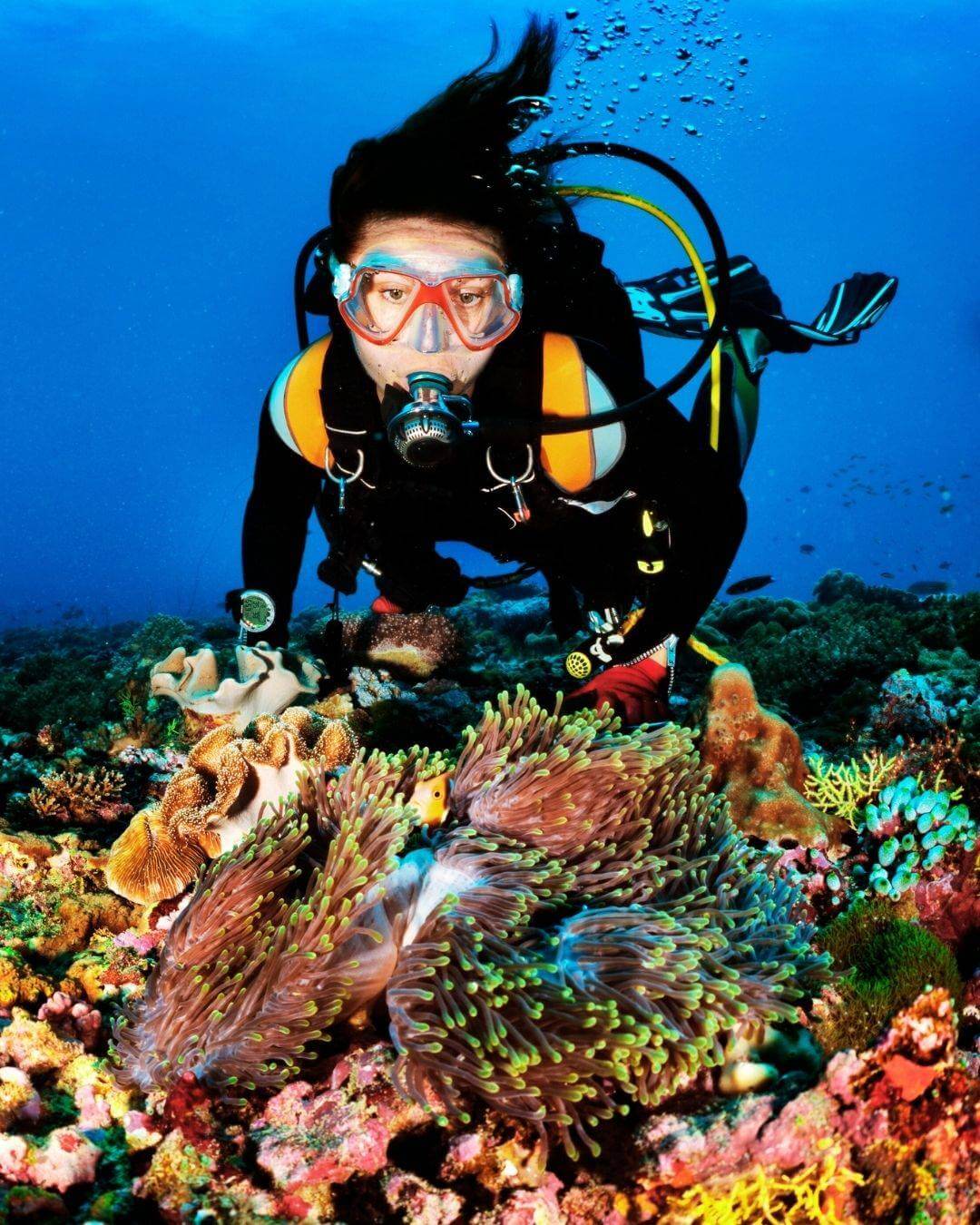 Woman scuba diving over a coral reef on a women-only Roatán dive trip with Nicole Harrison
