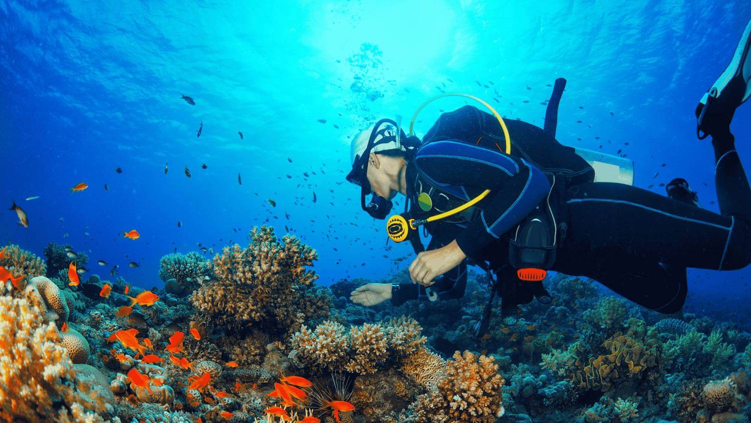 Blue Water Under Sea Image