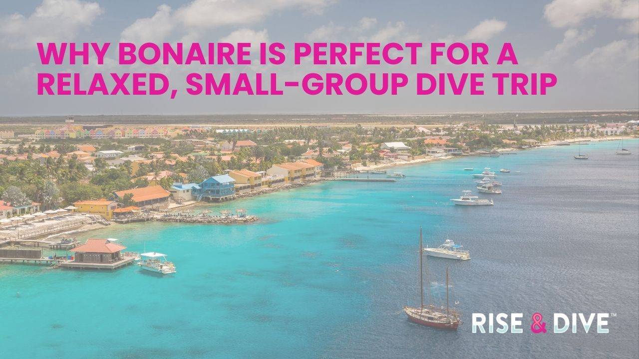 Bonaire waterfront in Kralendijk near popular dive sites