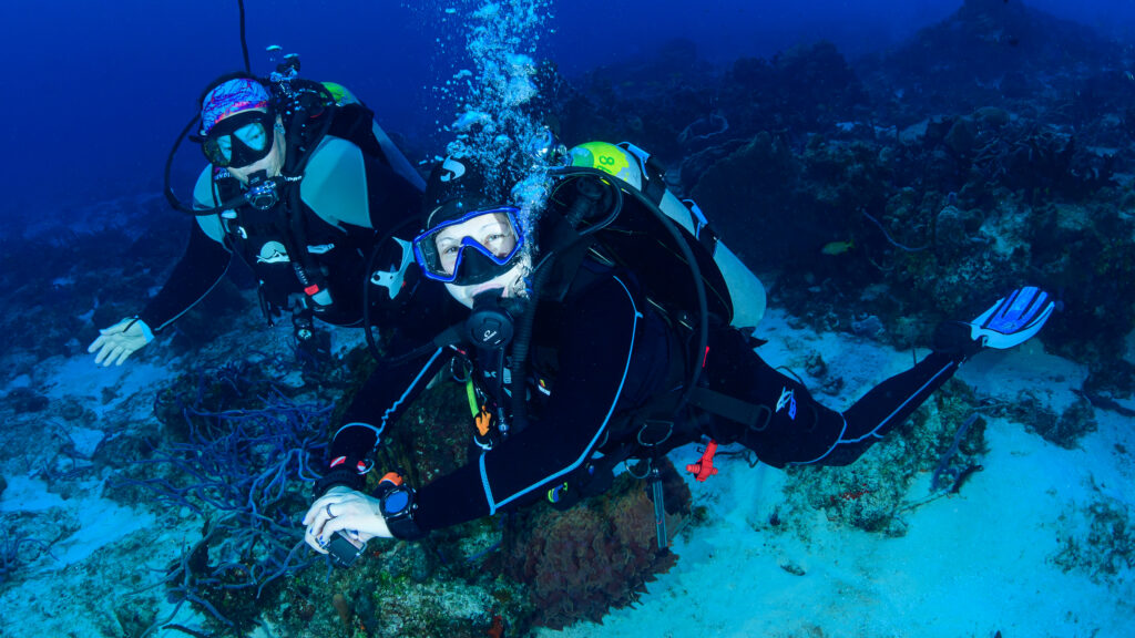 Two scuba divers practicing dive skills underwater during a small-group trip in Cozumel, demonstrating buoyancy and controlled technique