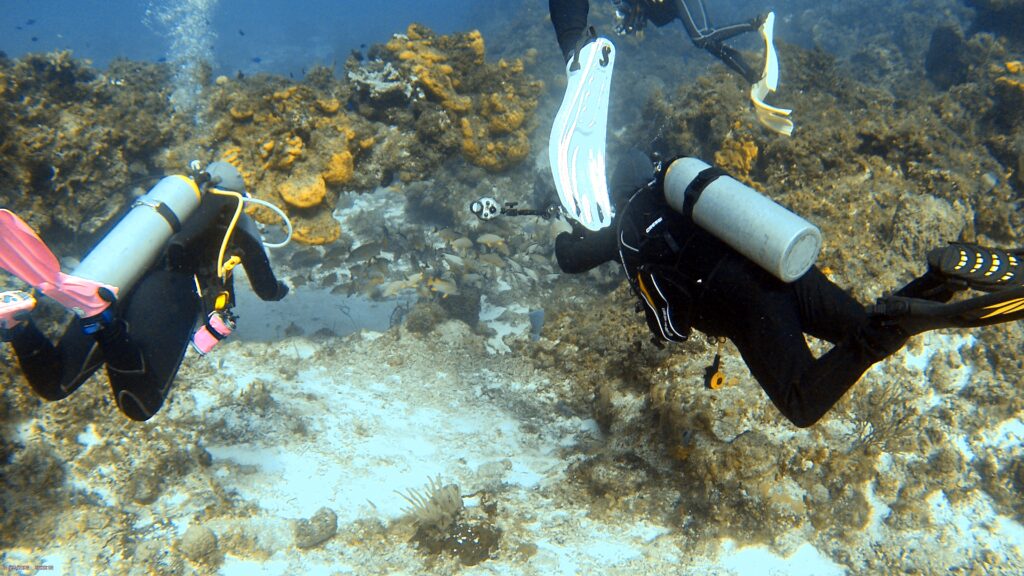 Three women scuba divers practicing buoyancy control skills while drift diving in Cozumel current