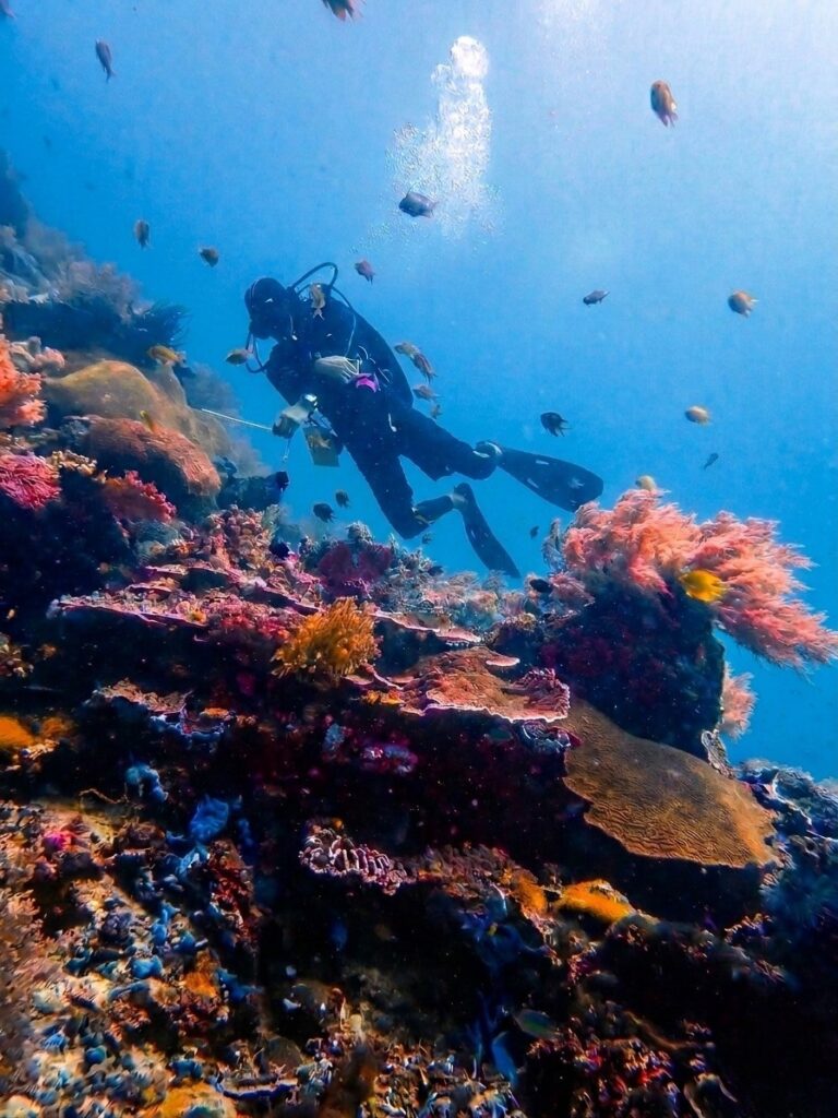 Scuba diver drifting along a coral reef wall in Puerto Galera Philippines