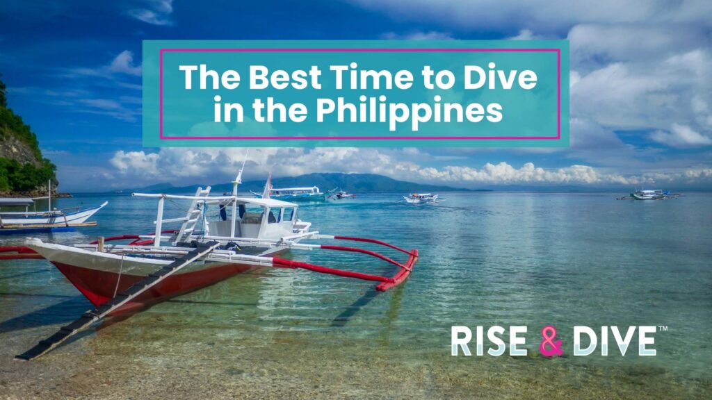 View of beach overlooking dive site with clear water during the best time to dive in the Philippines