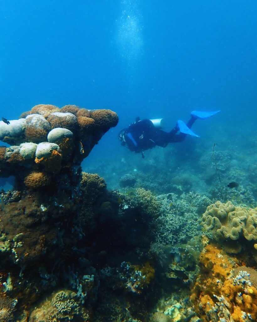 Woman scuba diver floating above a calm coral garden reef in the Philippines