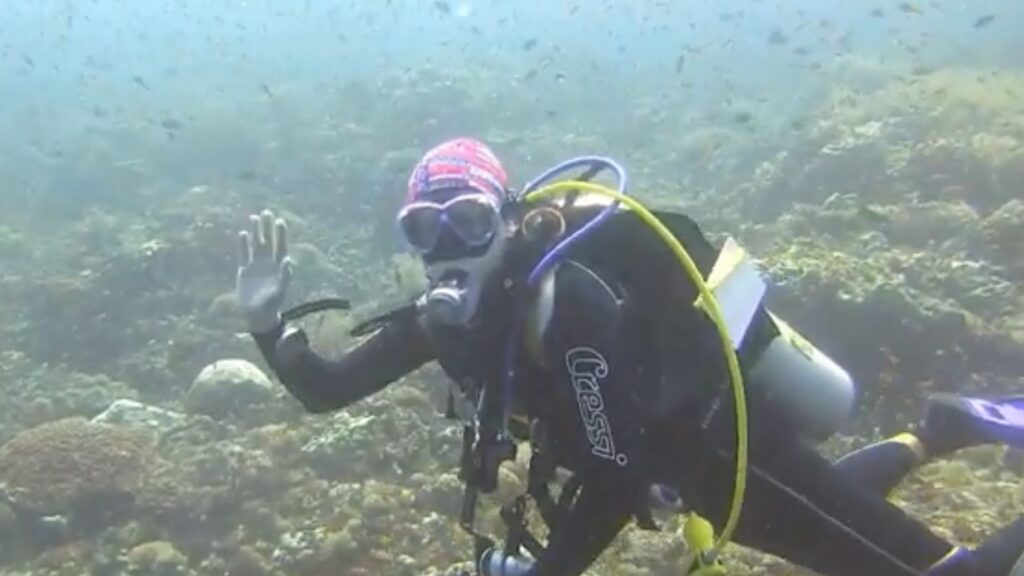 Calm coral garden dive site with clear water in the Philippines ideal for beginner divers