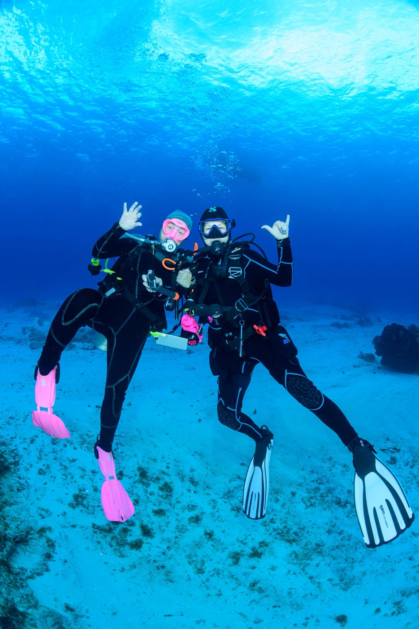 Nicole Harrison diving with another diver during a small-group scuba diving trip