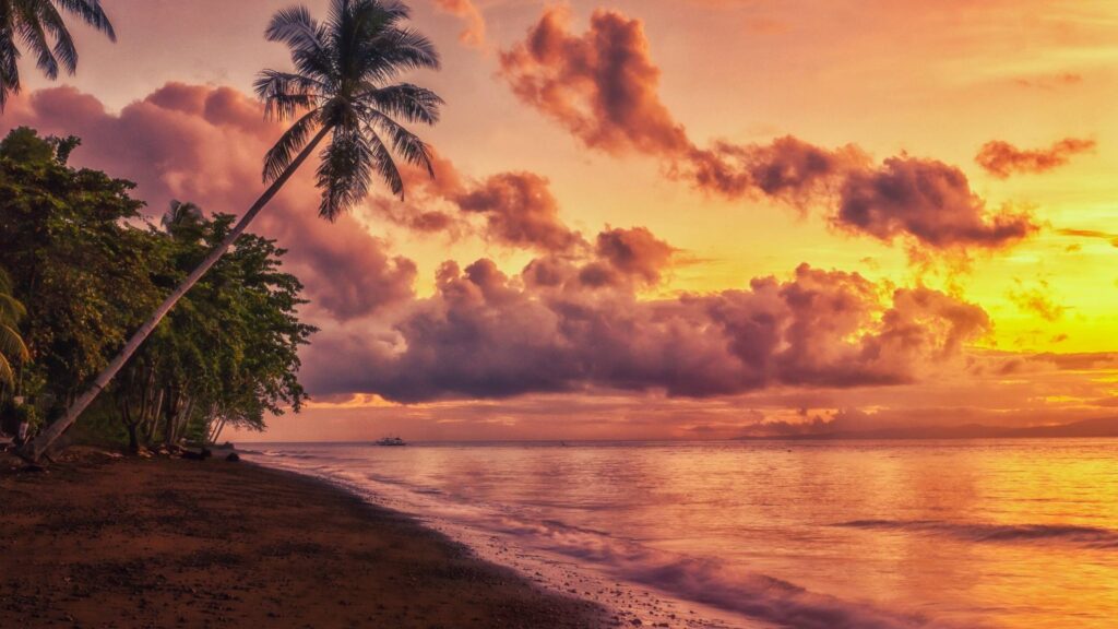 Golden sunset over a tropical beach with palm trees along the coast in the Philippines
