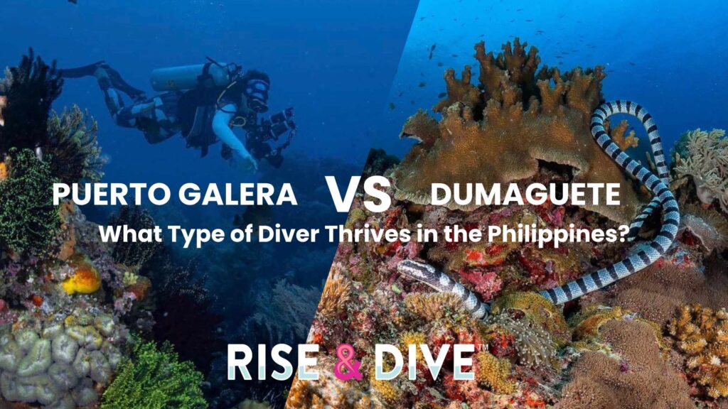 Scuba diver exploring a vibrant coral reef in the Philippines Coral Triangle comparing Puerto Galera vs Dumaguete diving