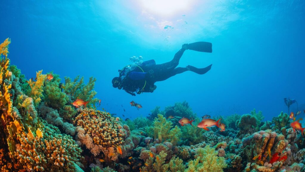 clear visibility while scuba diving in Roatán