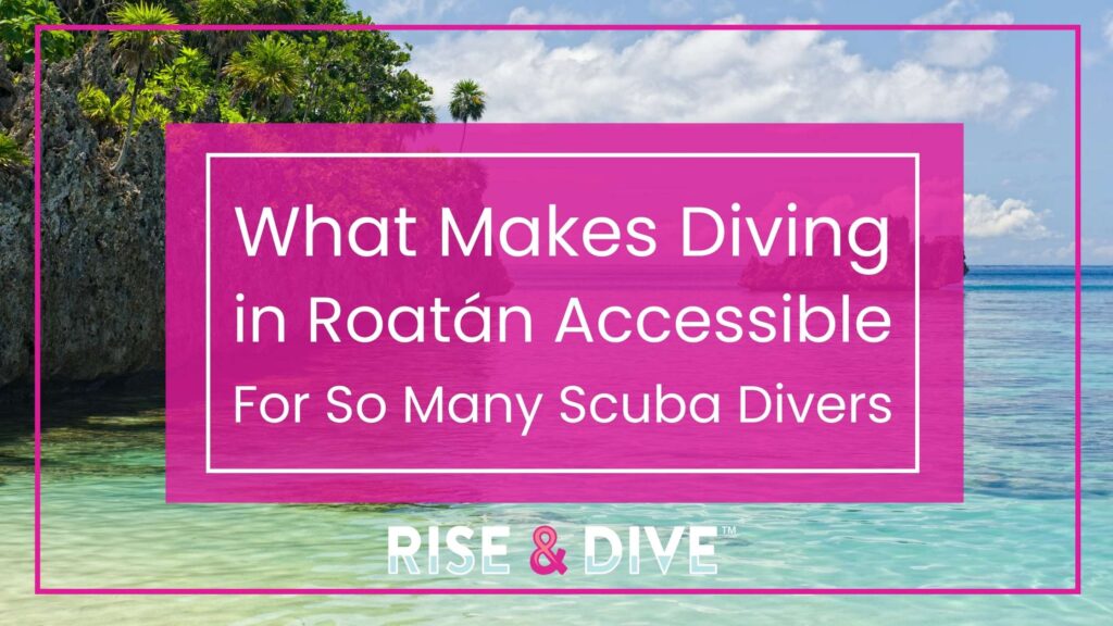 warm water reef diving conditions for scuba divers in Roatán