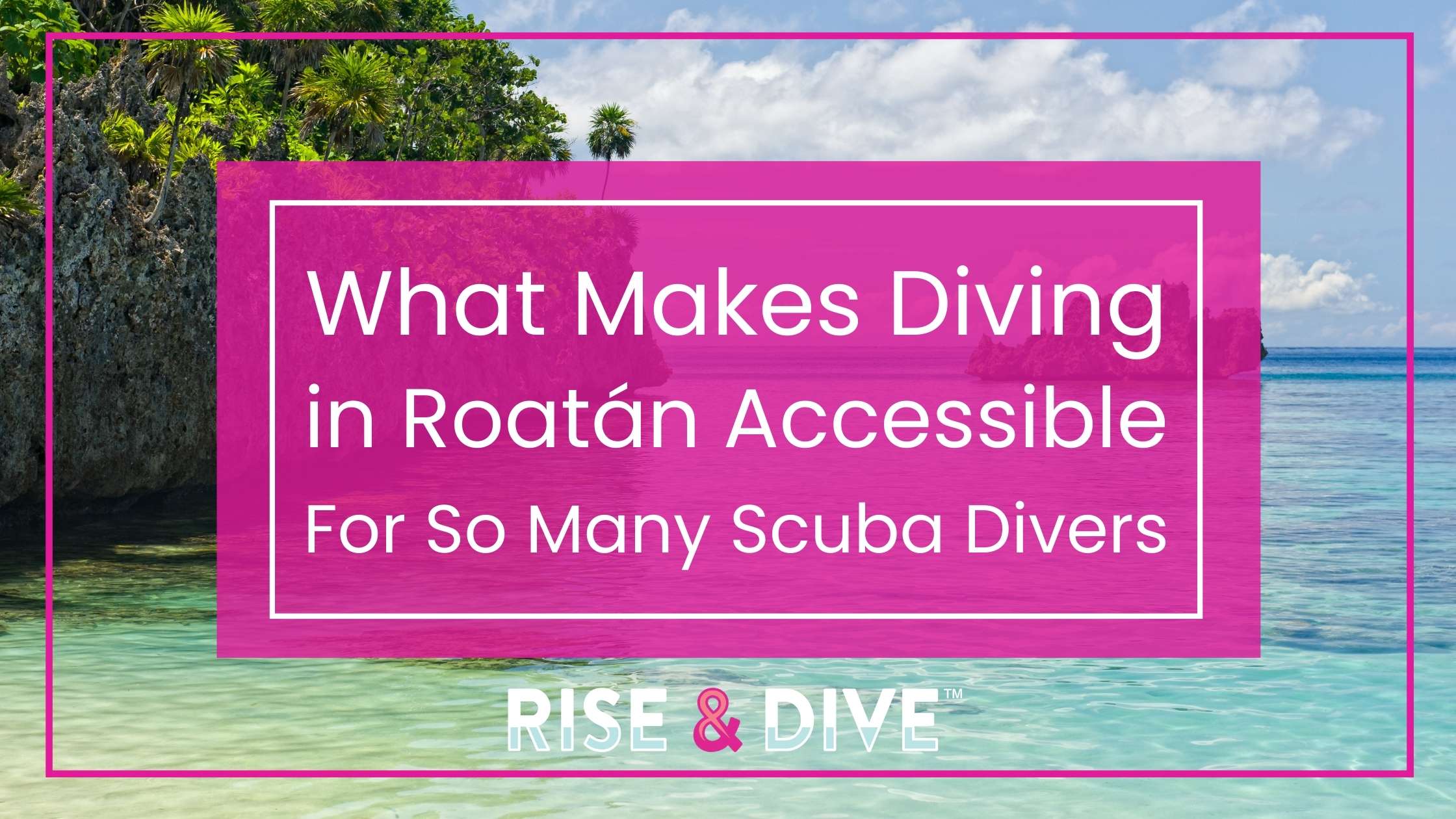 warm water reef diving conditions for scuba divers in Roatán