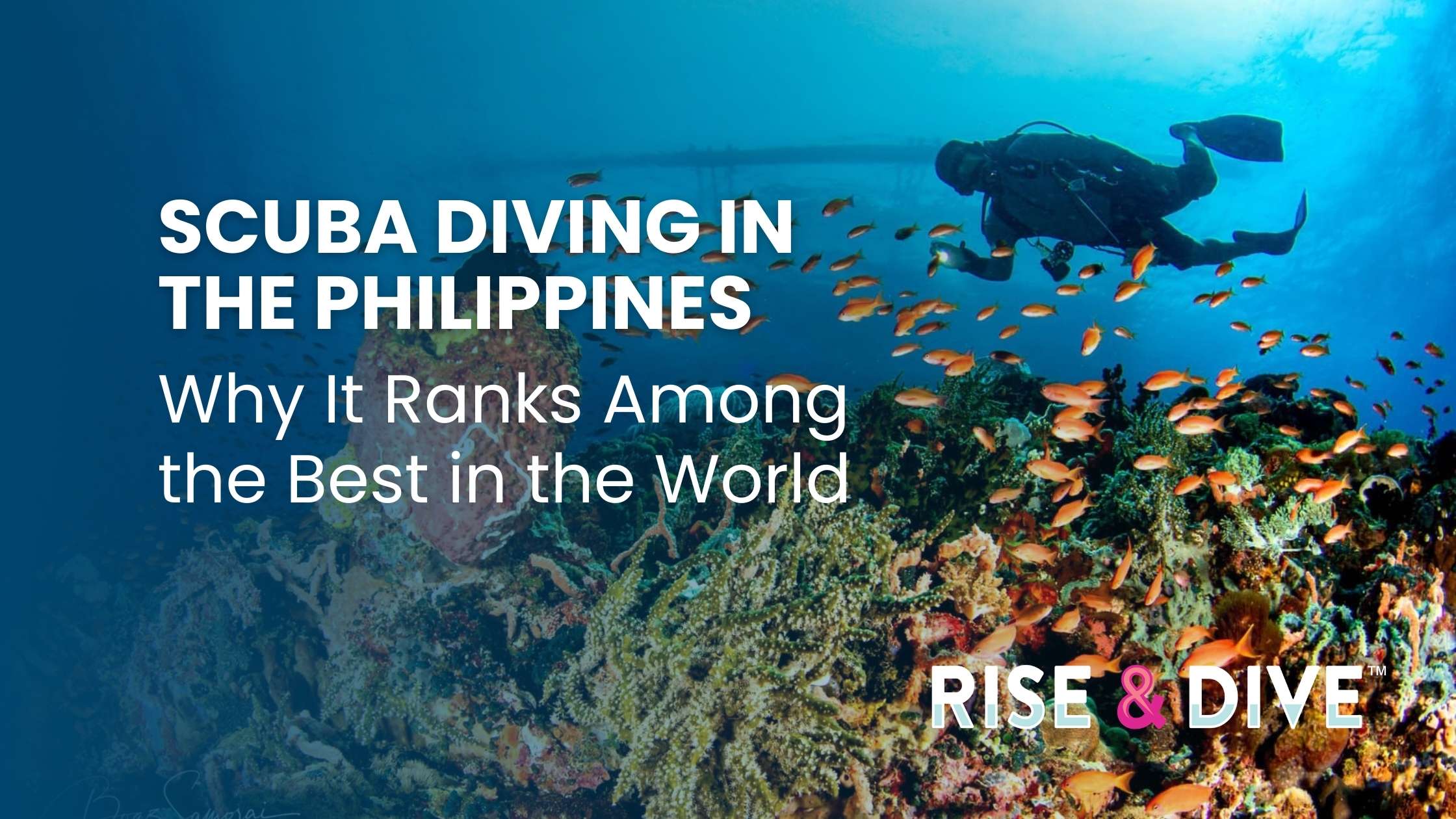 Scuba diver floating above a vibrant coral reef surrounded by tropical fish in the Philippines Coral Triangle