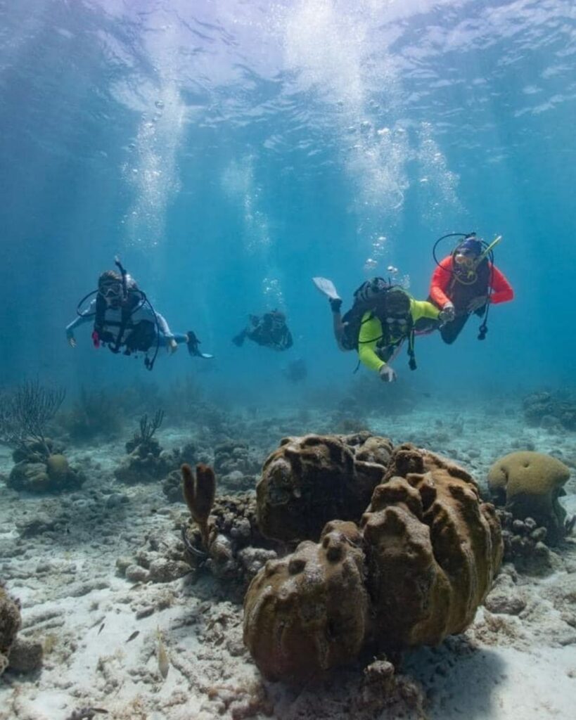 Group of scuba divers on a boat trip during the best time to dive in Bonaire