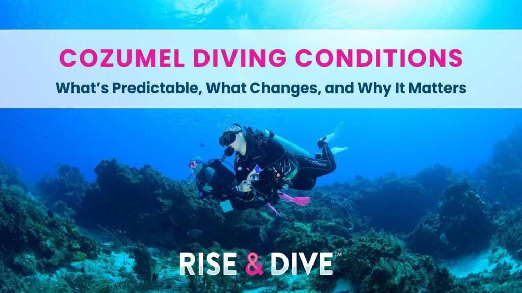 female scuba diver drifting along coral reef enjoying Cozumel diving conditions