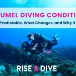 female scuba diver drifting along coral reef enjoying Cozumel diving conditions
