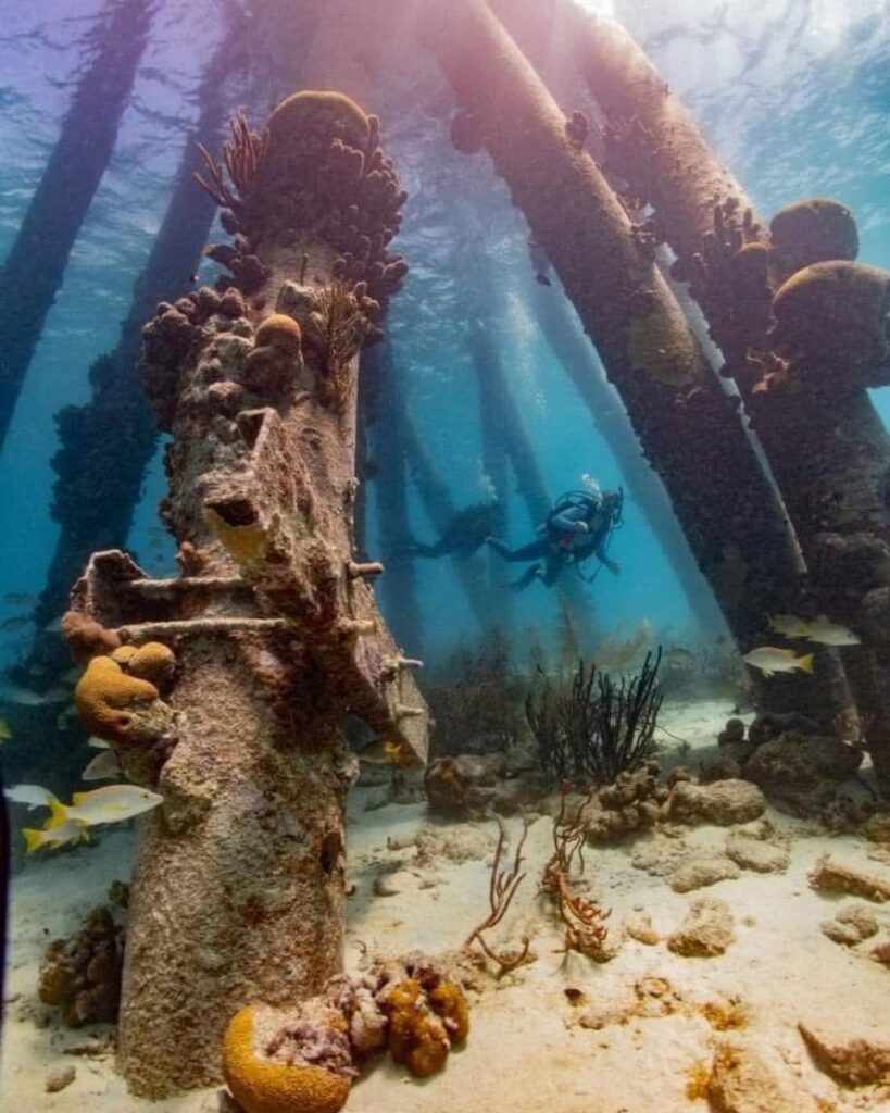 Scuba diver exploring Salt Pier dive site in Bonaire with pilings and clear water