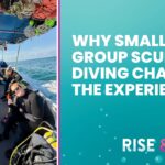 small-group scuba diving experience in calm conditions