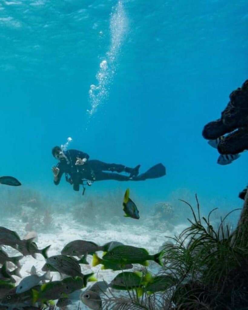 Diver underwater in Bonaire demonstrating mindful pacing and awareness during multiple dives a day in Bonaire