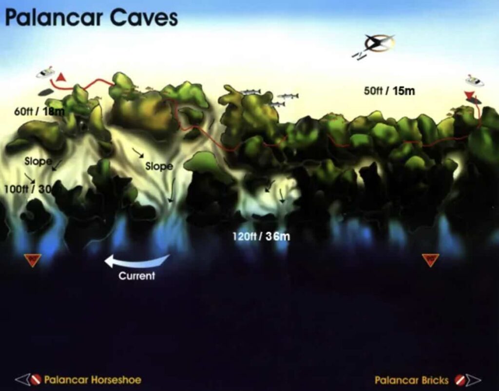 Dive site map of Palancar Caves Cozumel showing natural passages and overhangs at 50 to 90 feet along the southwest reef system
