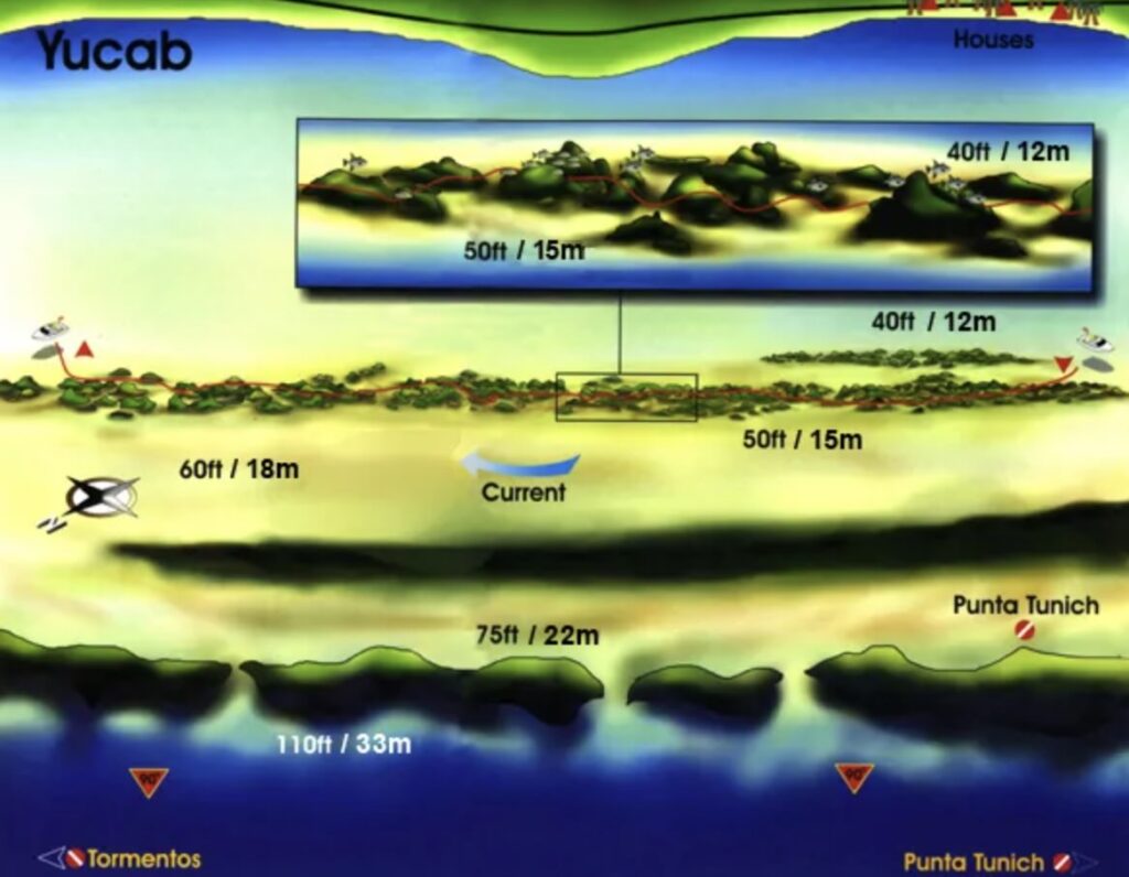 Dive site map of Yucab Reef Cozumel showing shallow low-profile reef structure at 40 to 60 feet with mild to moderate current and dense marine life