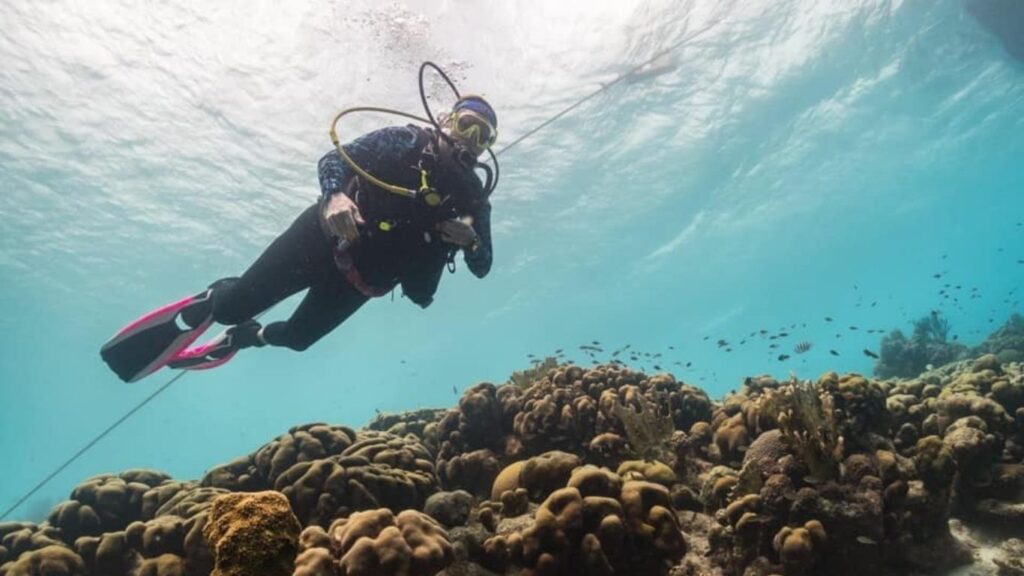 Woman scuba diver exploring a reef in Bonaire with clear water
