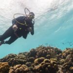 Woman scuba diver exploring a reef in Bonaire with clear water