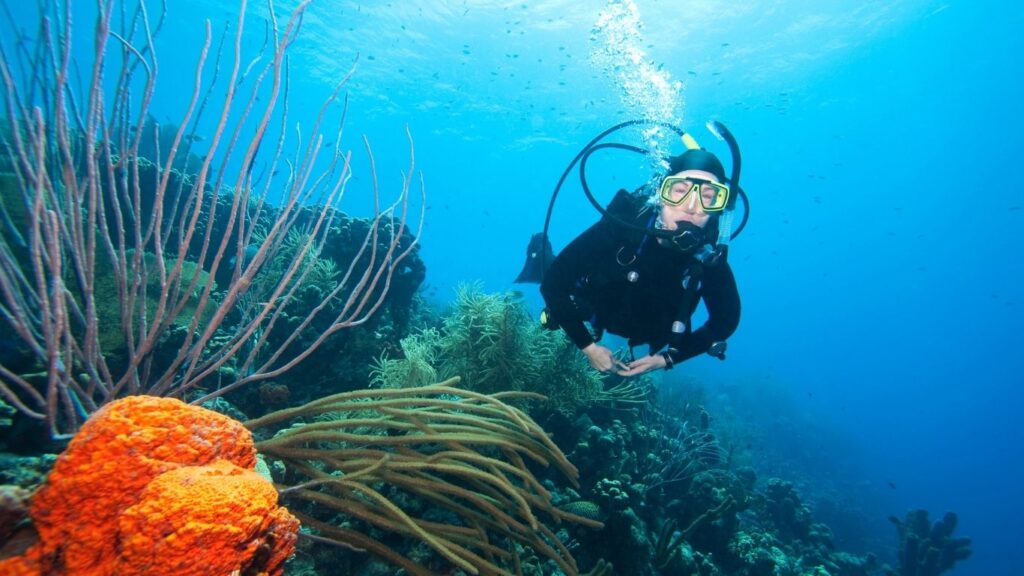 Bonaire diving conditions showing clear blue water and healthy coral reef with diver