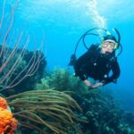 Bonaire diving conditions showing clear blue water and healthy coral reef with diver