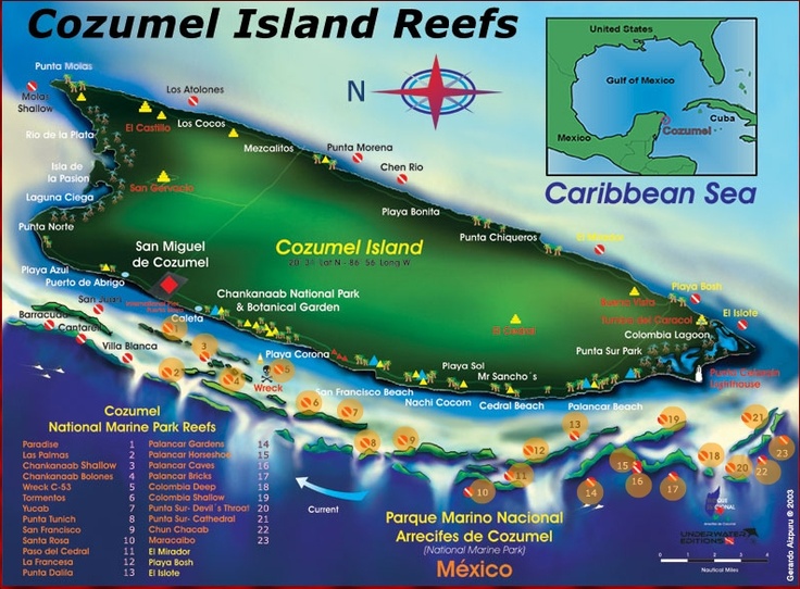 Map of Cozumel Island showing all named dive sites along the western and southern reef system within the Parque Marino Nacional Arrecifes de Cozumel, including Paradise, Tormentos, Yucab, San Francisco, Santa Rosa, Palancar Gardens, Palancar Caves, Palancar Horseshoe, Palancar Bricks, and Colombia Reef