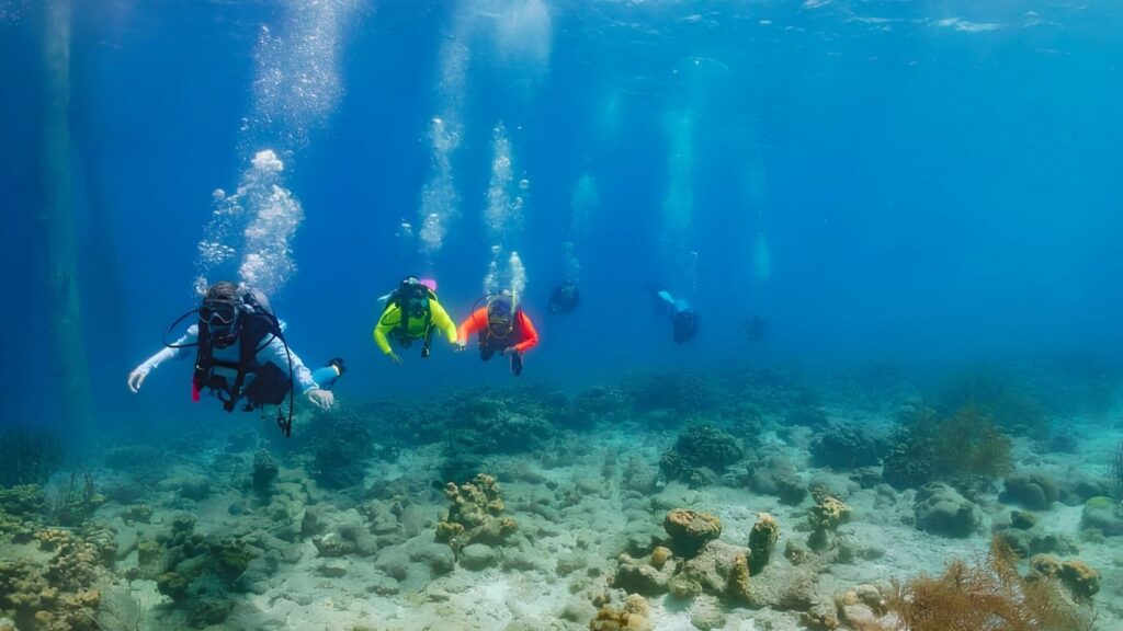 Dive guide in Bonaire leading women scuba divers underwater on reef