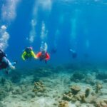 Dive guide in Bonaire leading women scuba divers underwater on reef