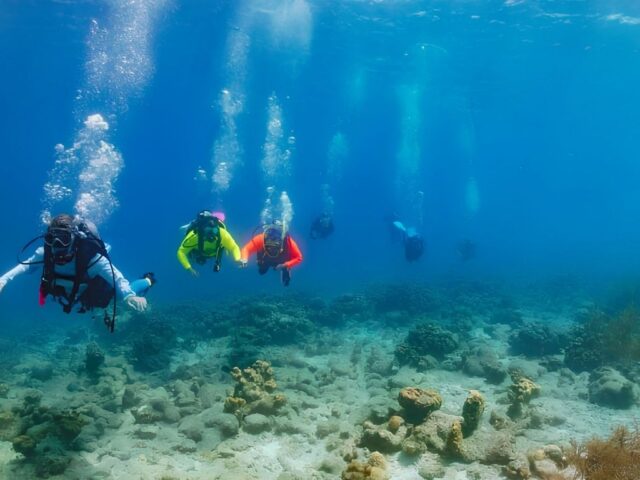 Do You Need a Dive Guide in Bonaire? The Question Behind the Question