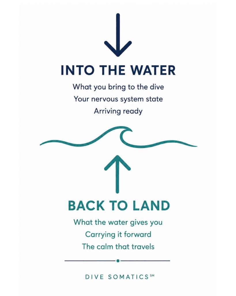 Dive Somatics bidirectional framework showing somatic practice working into the water and back to land.