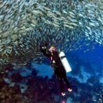 Diver surrounded by fish underwater in Bonaire showing ideal conditions for planning how many dives a day in Bonaire