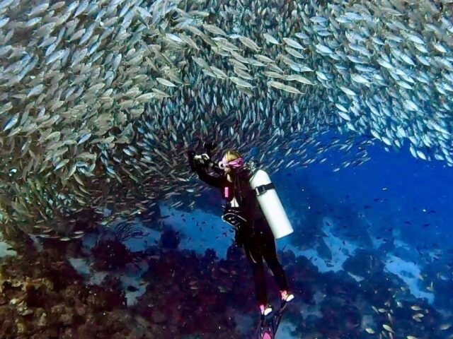 How Many Dives a Day in Bonaire? Listening to What Your Body Is Telling You