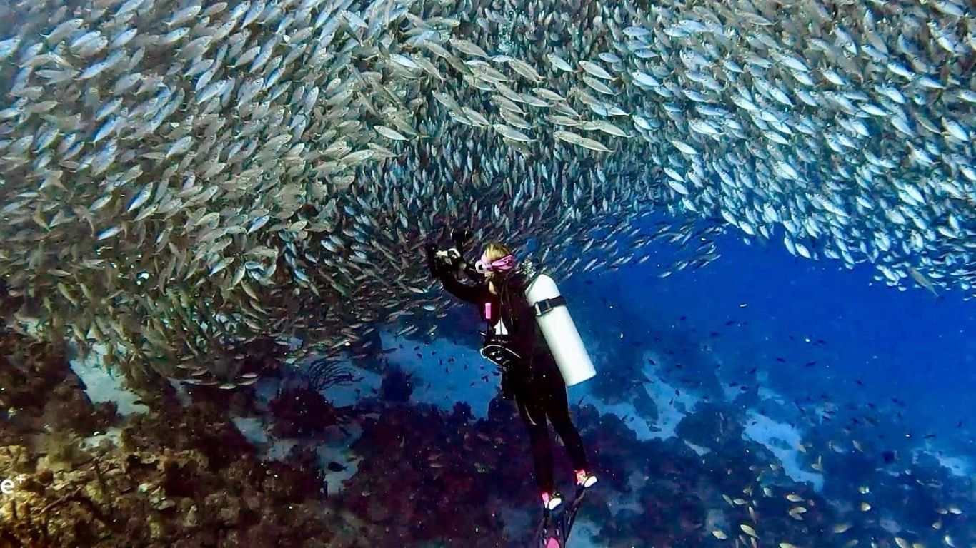Diver surrounded by fish underwater in Bonaire showing ideal conditions for planning how many dives a day in Bonaire