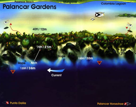 Dive site map of Palancar Gardens Cozumel showing shallow coral platform depth range of 15 to 50 feet with gentle current