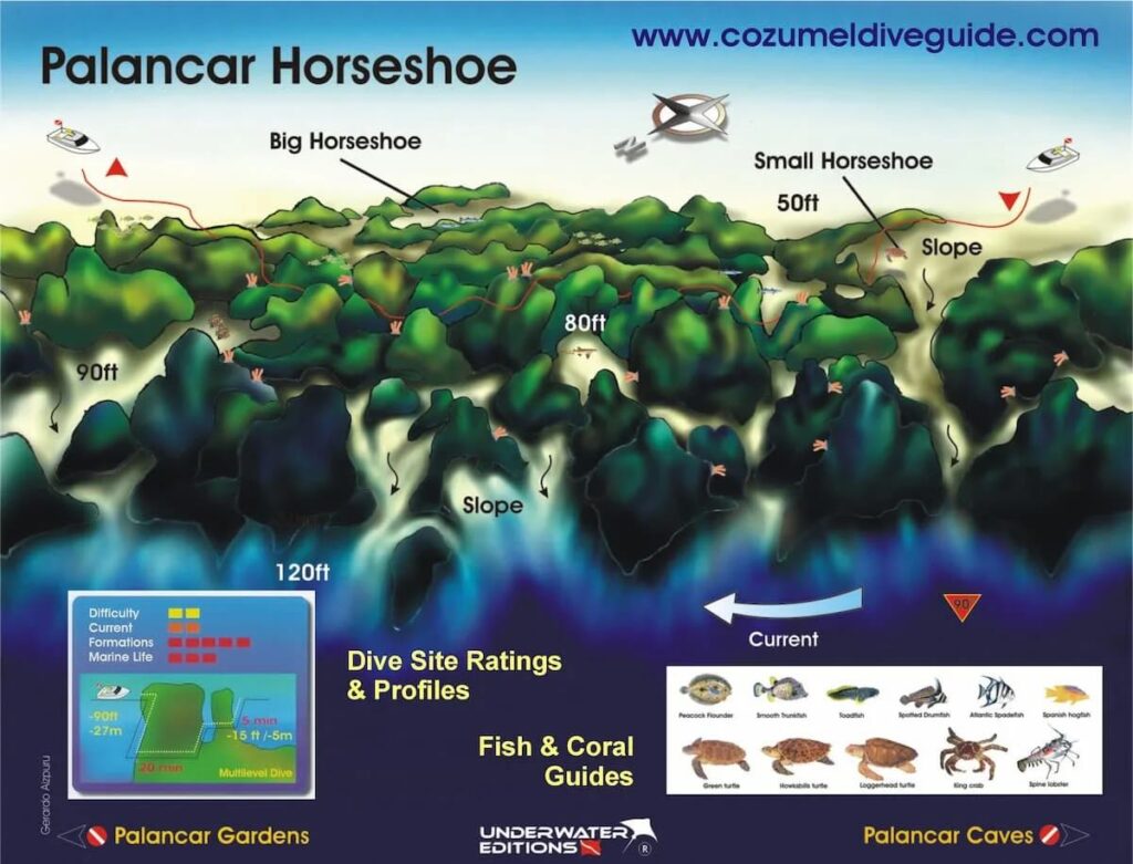 Dive site map of Palancar Horseshoe Cozumel showing deep wall structure and stronger current in the southern section of the Palancar Reef system