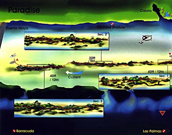 Dive site map of Paradise Reef Cozumel showing reef layout, depth range, and entry points along the northern Cozumel Marine Park