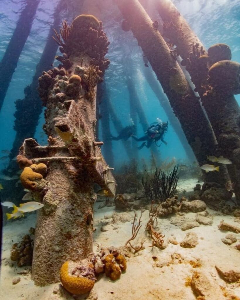 Two scuba divers exploring Salt Pier with a dive guide in Bonaire with coral-covered pilings