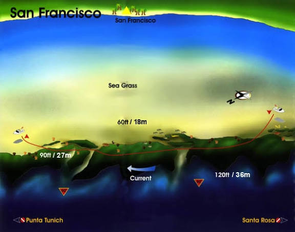Dive site map of San Francisco Reef Cozumel showing wall structure, tunnel sections, and depth range from 20 to 50 feet with moderate current