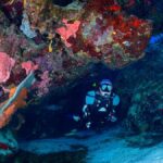 Diver drifting along the Cozumel reef wall in clear blue water