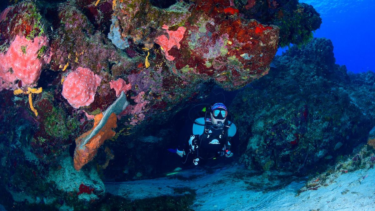 Diver drifting along the Cozumel reef wall in clear blue water